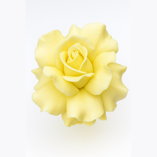A-yellow-rose-flower.png Yellow Rose Flower