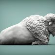 bison5.jpg Bison 3D-Druckmodell