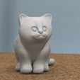 sittingKitten_02.jpg chaton assis