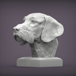 german-wirehaired-pointers1.jpg STL file German wirehaired pointers bust 3D print model・3D printing idea to download