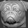 3.jpg Pug head for 3D printing