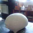 3d print of mole grub.jpg Mole Grub Blank