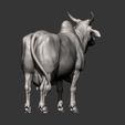 indian-cow9.jpg Indian cow 3D print model