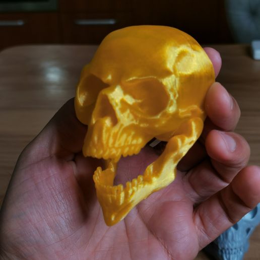 Crânio articulado com mandíbula móvel - Impressão no local, sem suportes a404