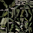texture_1001.png Fastigiate Hornbeam - Real Tree 3D Scan - Kew Gardens Collection