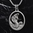 snake-bb-with-frame-pendant-06.jpg PENDENTIF SERPENT M02