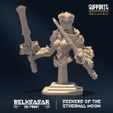 resize-a2.jpg Seekers of the Ethernal Moon - MINIATURES 2023