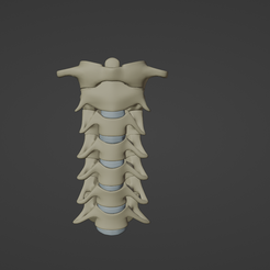 1.png STL-Datei 3D-Modell der Halswirbelsäule (Nacken)・3D-druckbares Modell zum Herunterladen