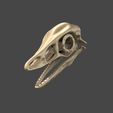 04.jpg Archaeopteryx skull in 3D