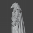 Screenshot-2026-02-20-120925.png Aarakocra Eaglefolk Sorcerer Tabletop Miniature