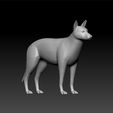 dog11.jpg Dog realistic 3d model - cute dog - toy for kids - decorative dog