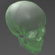 M3P1D1V1Skull_triangles4.jpg Human Skull model M3P1D1V1Skull