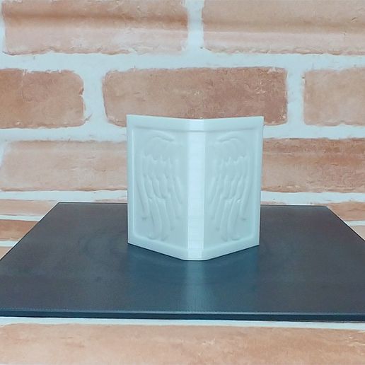 home_roof.jpg PET URN  250ML FUNERAL CASE