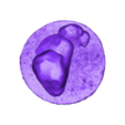 base1.stl Voldemort