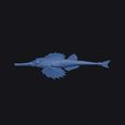 longtail_seamoth_0013.jpg Longtail Seamoth