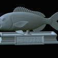 Dentex-mouth-statue-62.png fish Common dentex / dentex dentex open mouth statue detailed texture for 3d printing