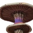 6.jpg Mushroom Giant FOREST NATURE GRASS VEGETABLE FRUIT TREE FOOD WORLD LANDSCAPE MAGIC Mushroom MUSHROOM