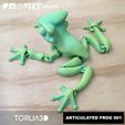 03.jpg Articulated Frog 001