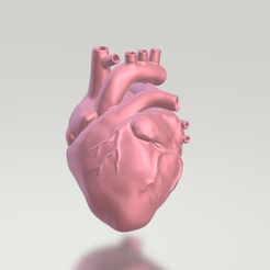 7.png The Heart
