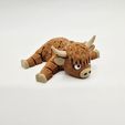 20251215_094755.jpg Flexi Highland Cow