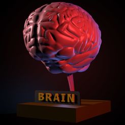 1.jpg Fichier STL Modèle de cerveau・Modèle à télécharger et à imprimer en 3D, 3deye