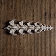 _DSF6868.jpg Dragon's spine