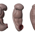 3_Weeks_Matcap_03.png 3D file 3 Weeks Human embryonic (baby stages)・3D printer design to download