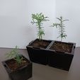20230512_124544.jpg Built-in pot for seedlings