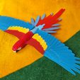 IMG_20240621_152148757.jpg Flying Macaw