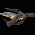 pike-high-quality-1-4.png big old pike underwater statue on the wall detailed texture for 3d printing