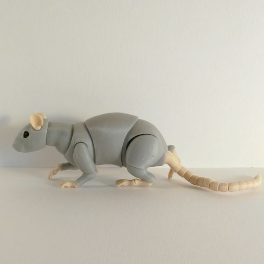 🐀 Rat BJD・ STL File for ・Cults