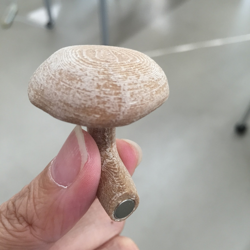 Capture_d__cran_2015-09-30___11.29.34.png magnet mushroom 1