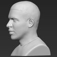 drake-bust-ready-for-full-color-3d-printing-3d-model-obj-mtl-stl-wrl-wrz (24).jpg Drake bust ready for full color 3D printing