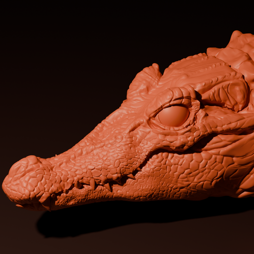 Crocodile Bust