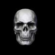 untitled.166ed.jpg Skull Head