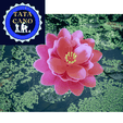 62.png Lotus Flower Incense Holder (Lotus Flower Incense Holder)