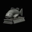 Peacock-Bass-statue-4-3-15.png FISH in motion Peacock bass (Cichla ocellaris) stone base for 3d printing