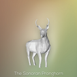 Capture_d__cran_2015-04-10___23.02.25.png Das Sonoran Pronghorn