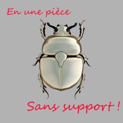 scarabee_3.jpg STL file lucky scarab・3D printing template to download