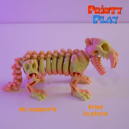 Saber-toothed.jpg Esqueleto de tigre de dientes de sable