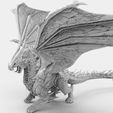 Dragon.2.jpg Dragon