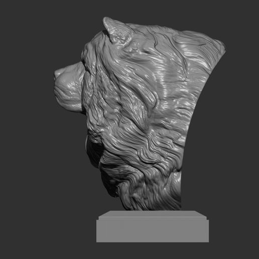 chow-chow7.jpg Modèle imprimé en 3D du buste de Chow Chow