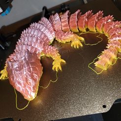 GÜRTELTIER EIDECHSE (KLEINER DRACHE) MIT GELENK