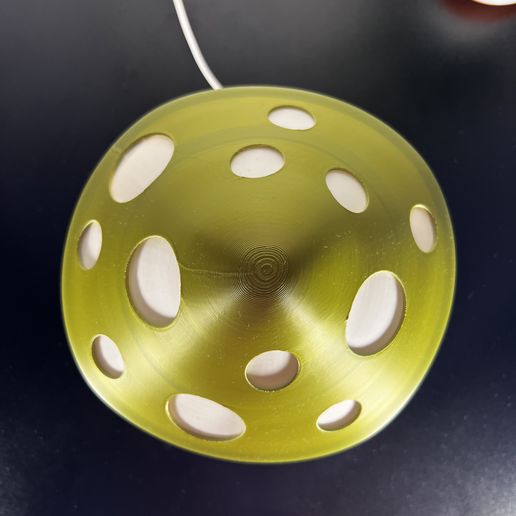 IMG_1805.jpg The Magic Mushroom Lamp!