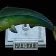 mahi-mahi-model-1-18.png fish mahi mahi / common dolphin trophy statue detailed texture for 3d printing