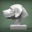 Labrador4.jpg Labrador Modèle d'impression 3D