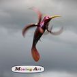 Kolibri-2.jpg Windspinner Hummingbird pre-supported