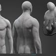 a1.jpg Male Anatomy Statue