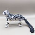 337645842_181972984697490_5528583857550602148_n.jpg Archivo STL Flexi Cat, gatito articulado para imprimir・Modelo imprimible en 3D para descargar