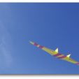 6a-Image-9-28-23-at-6.06-PM.jpg VALKYRIE - A TPU FLYING WING (Manual and Test File)